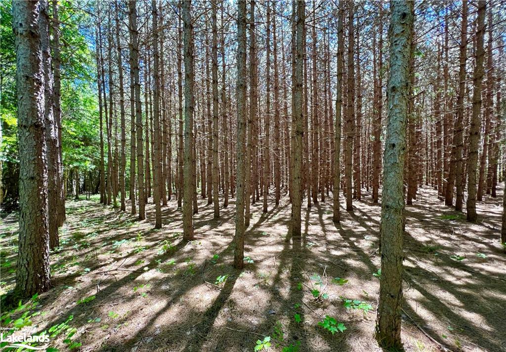1936 BARRY LINE Road, Algonquin Highlands, Ontario, Canada