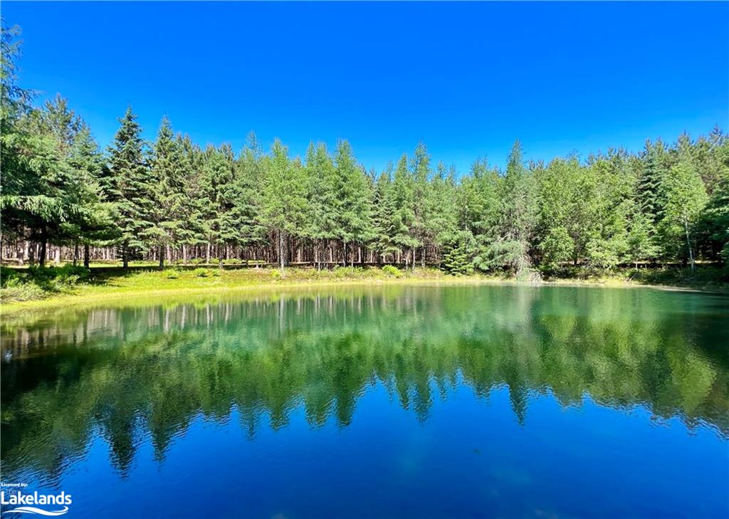 1936 BARRY LINE Road, Algonquin Highlands, Ontario, Canada