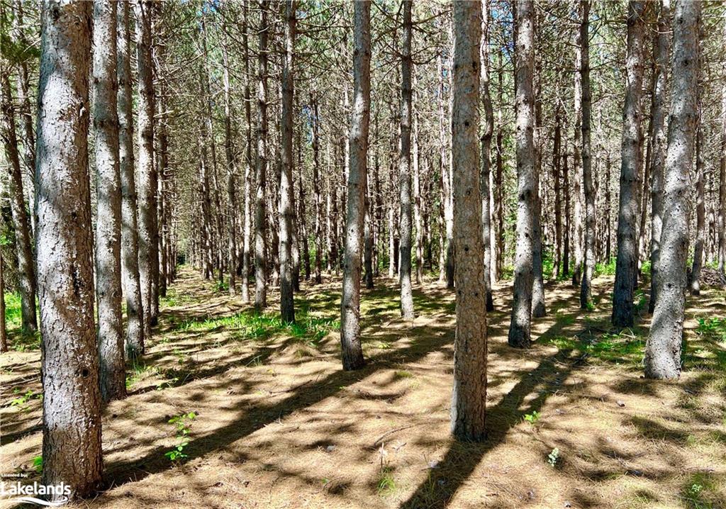 1936 BARRY LINE Road, Algonquin Highlands, Ontario, Canada