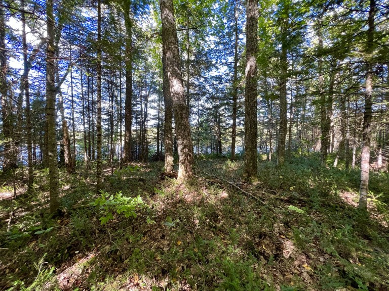 Hemlock Shores on Bigfools Lake (113 Cross Road), Bancroft, Ontario, Canada