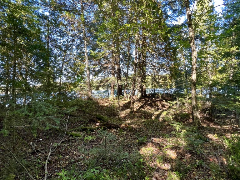 Hemlock Shores on Bigfools Lake (113 Cross Road), Bancroft, Ontario, Canada