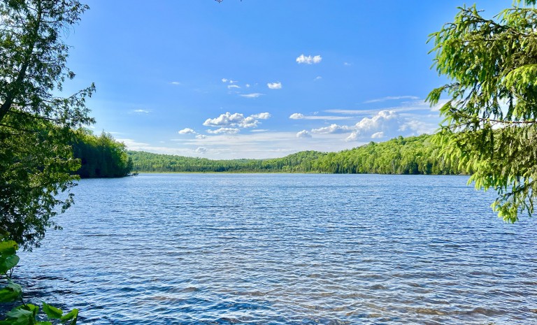 Hemlock Shores on Bigfools Lake (113 Cross Road), Bancroft, Ontario, Canada