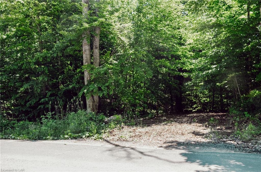 TENNYSON Road, Minden Hills, Ontario, Canada