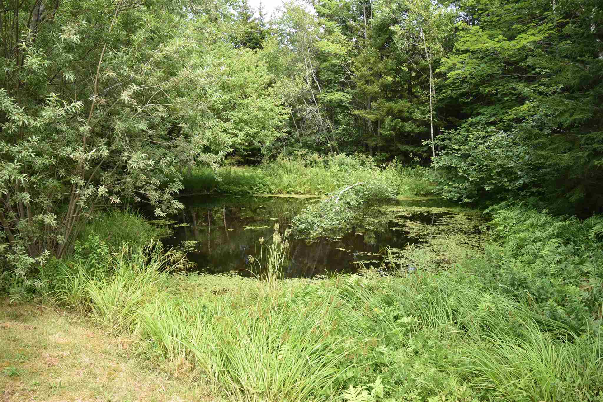 143 MARSHALLTOWN Road, Marshalltown, Nova Scotia, Canada