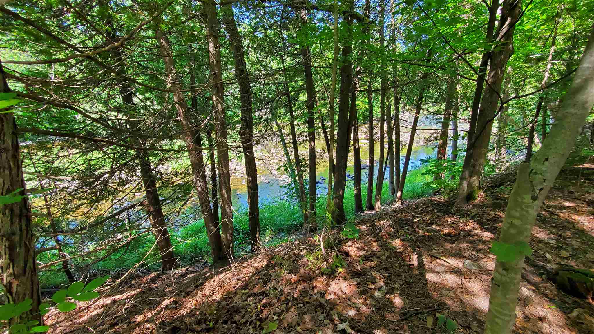 469 Adair Road, Tamworth Ontario, Canada