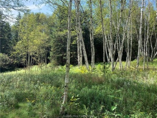 Lot 2 Part 4 Kalmo Road, Val Caron Ontario, Canada
