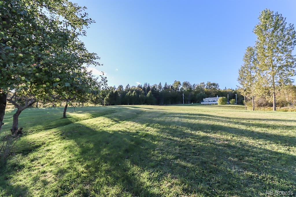 50 Brown Road, Bay View, New Brunswick, Canada