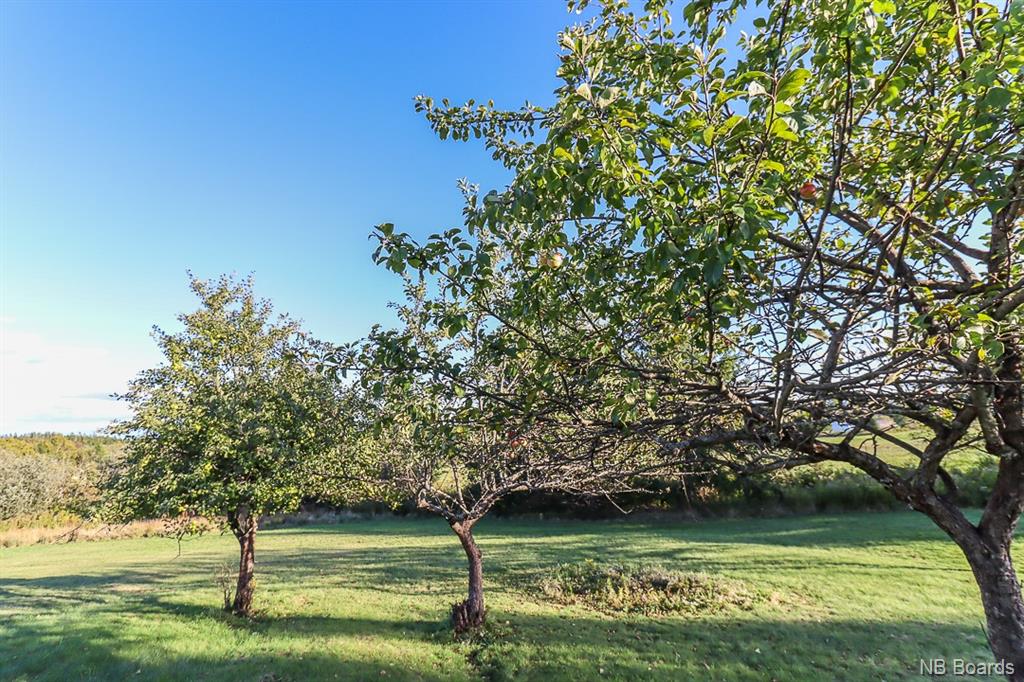 50 Brown Road, Bay View, New Brunswick, Canada