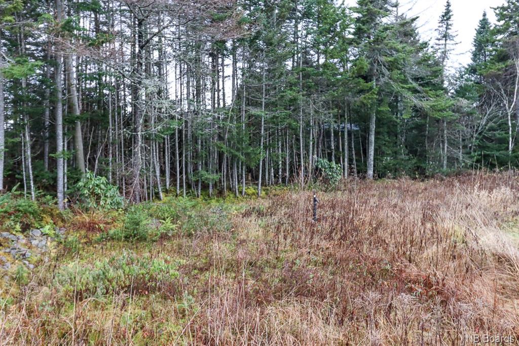 4 Dalling Avenue, Garnett Settlement, New Brunswick, Canada