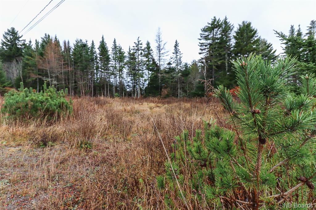4 Dalling Avenue, Garnett Settlement, New Brunswick, Canada
