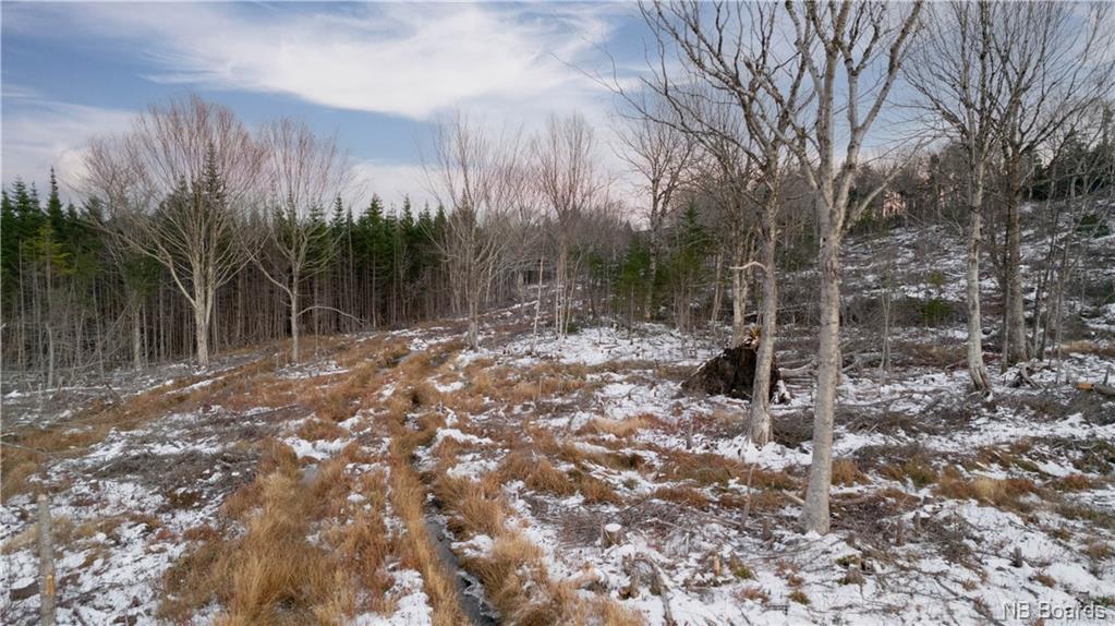 Vacant Lot Lesley Lane, Willow Grove, New Brunswick, Canada