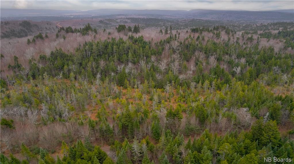 Lot Stoney Brook Road, Fairfield, New Brunswick, Canada