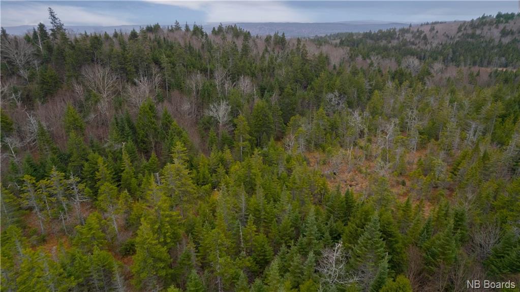 Lot Stoney Brook Road, Fairfield, New Brunswick, Canada