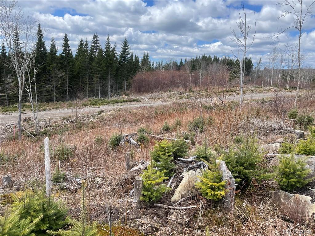 Lot 22-02 Old Gardner Creek Road, Rowley, New Brunswick, Canada