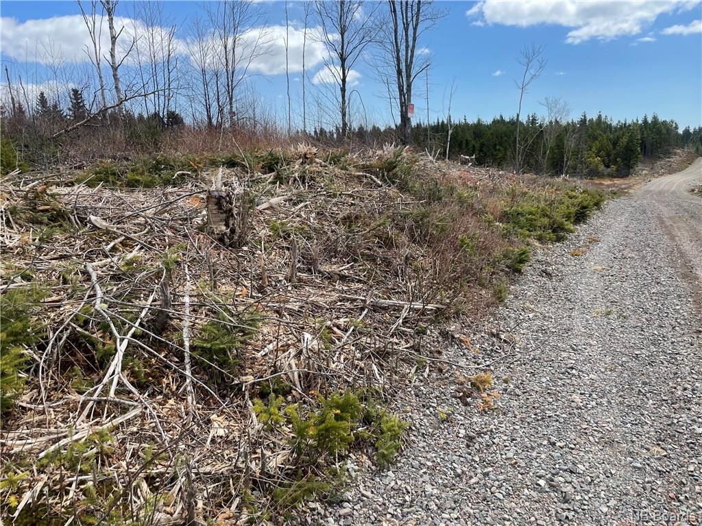 Lot 22-02 Old Gardner Creek Road, Rowley, New Brunswick, Canada
