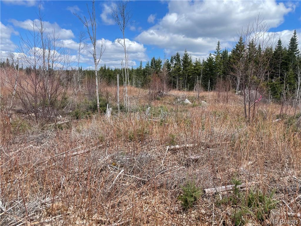 Lot 22-02 Old Gardner Creek Road, Rowley, New Brunswick, Canada