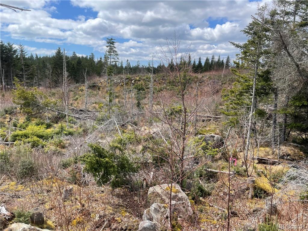 Lot 22-02 Old Gardner Creek Road, Rowley, New Brunswick, Canada