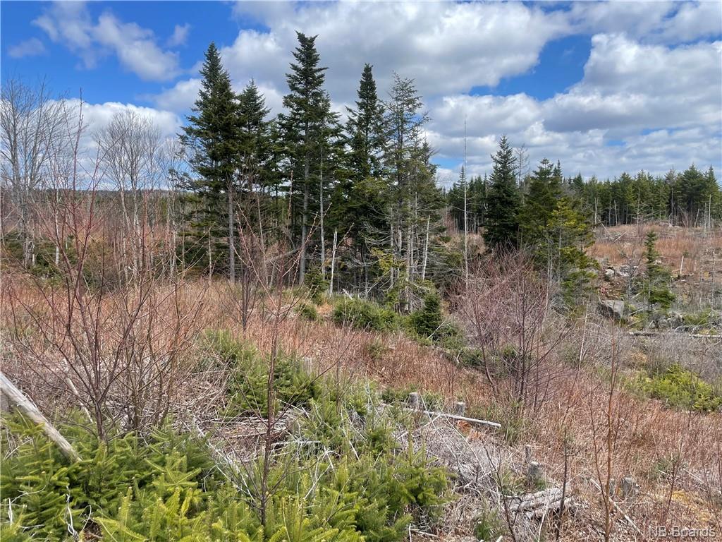 Lot 22-02 Old Gardner Creek Road, Rowley, New Brunswick, Canada