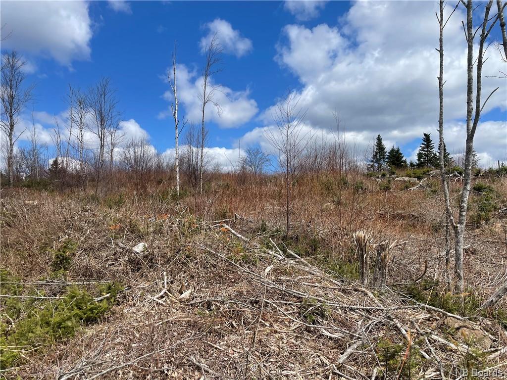 Lot 22-02 Old Gardner Creek Road, Rowley, New Brunswick, Canada