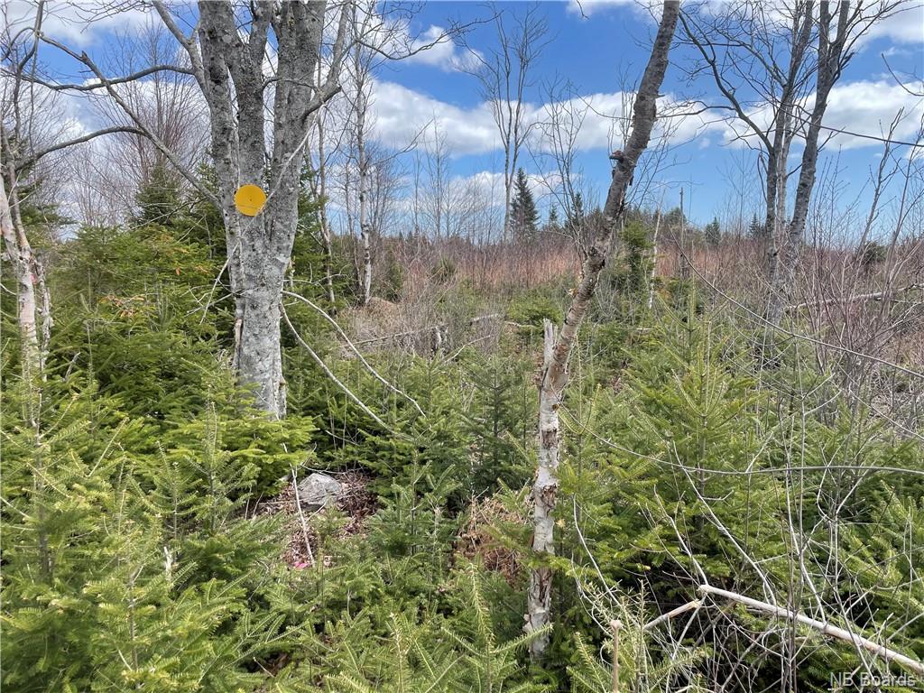 Lot 22-02 Old Gardner Creek Road, Rowley, New Brunswick, Canada