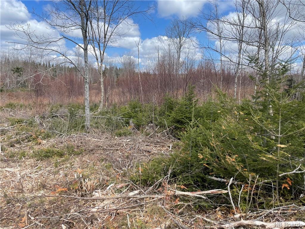 Lot 22-02 Old Gardner Creek Road, Rowley, New Brunswick, Canada