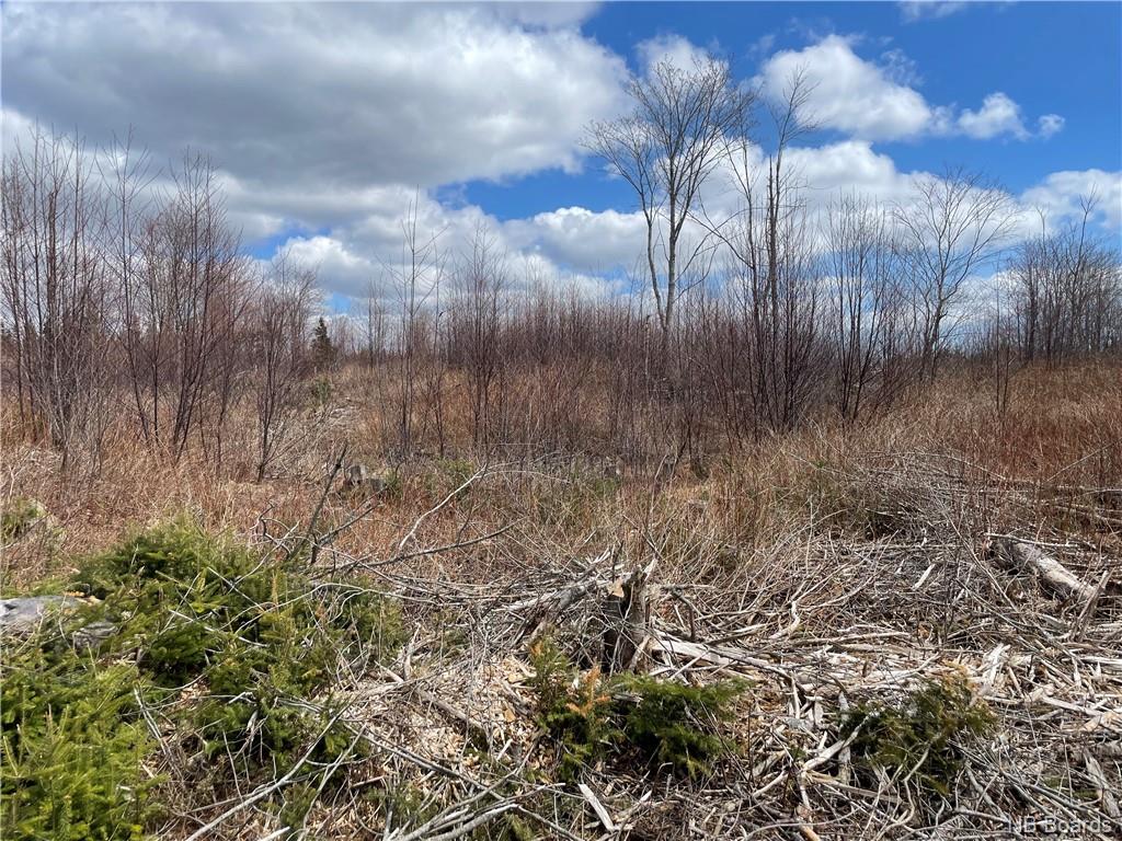 Lot 22-02 Old Gardner Creek Road, Rowley, New Brunswick, Canada