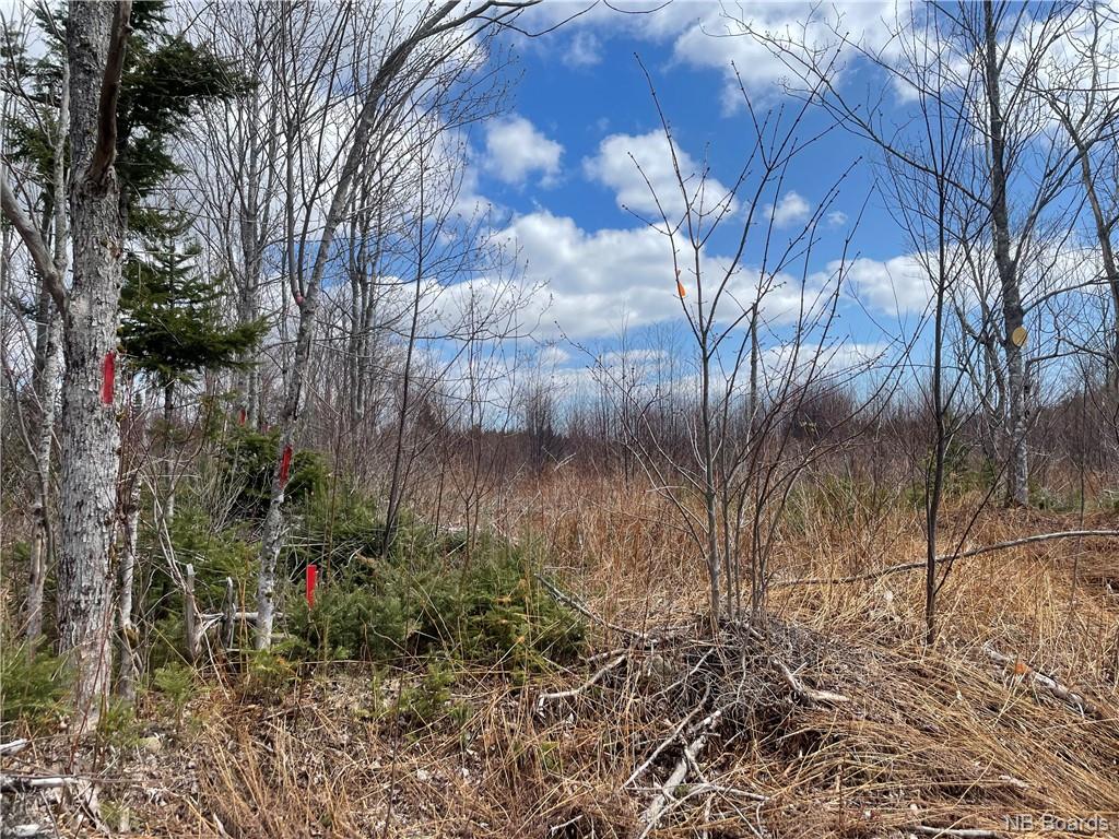 Lot 22-02 Old Gardner Creek Road, Rowley, New Brunswick, Canada