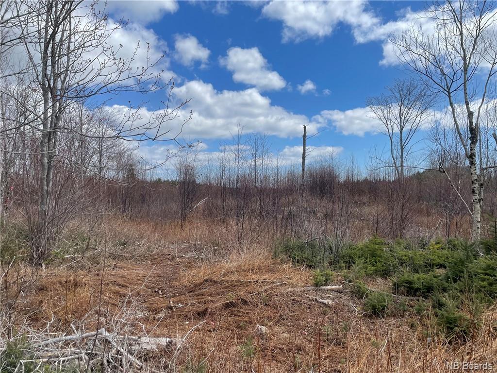 Lot 22-02 Old Gardner Creek Road, Rowley, New Brunswick, Canada