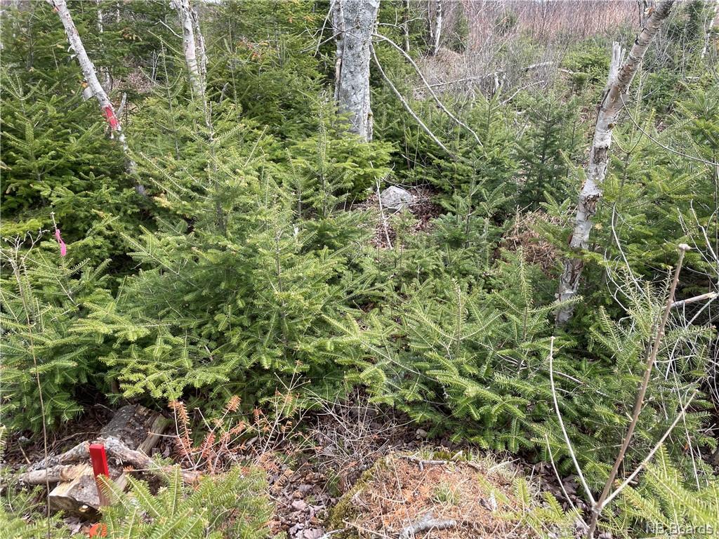 Lot 22-02 Old Gardner Creek Road, Rowley, New Brunswick, Canada
