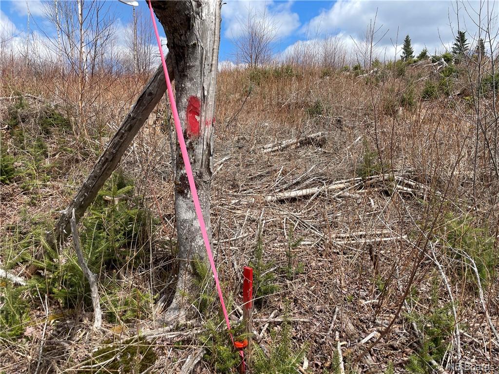 Lot 22-02 Old Gardner Creek Road, Rowley, New Brunswick, Canada