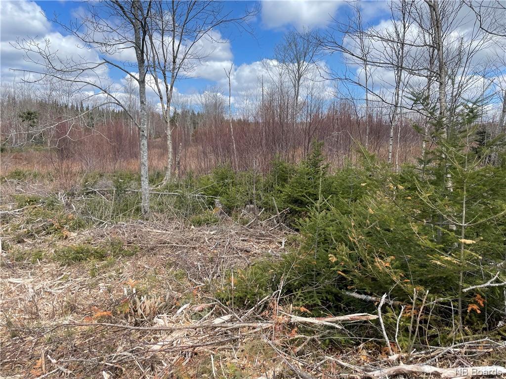 Lot 22-03 Old Gardner Creek Road, Rowley, New Brunswick, Canada