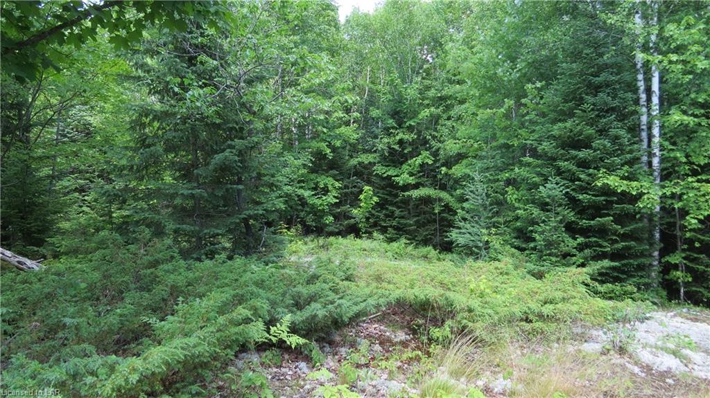 1423 FLEMING Road, Minden Hills, Ontario, Canada