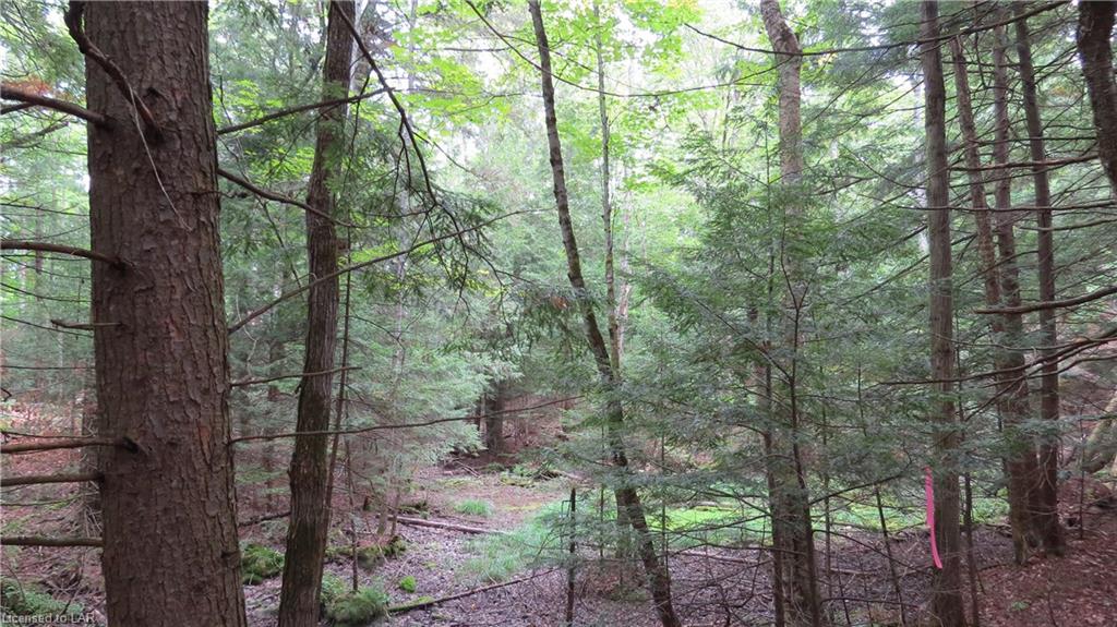 1423 FLEMING Road, Minden Hills, Ontario, Canada