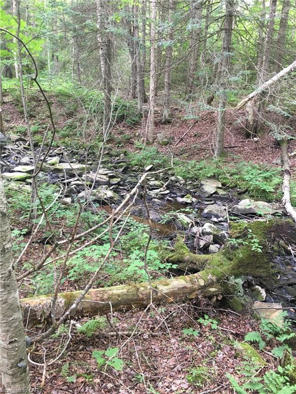 1423 FLEMING Road, Minden Hills, Ontario, Canada