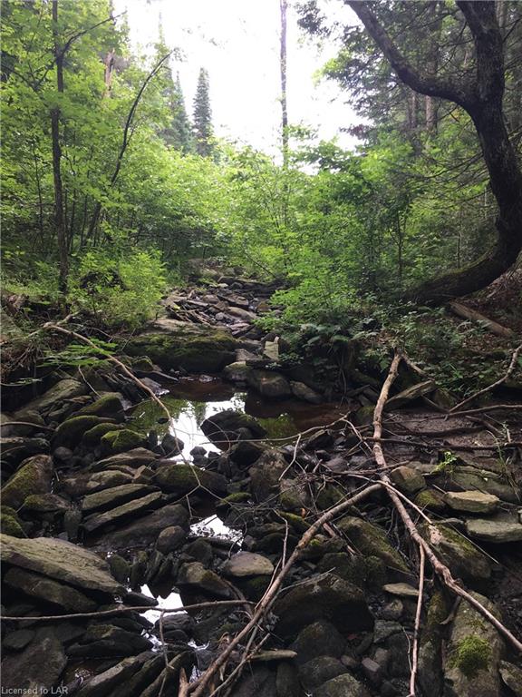 1423 FLEMING Road, Minden Hills, Ontario, Canada
