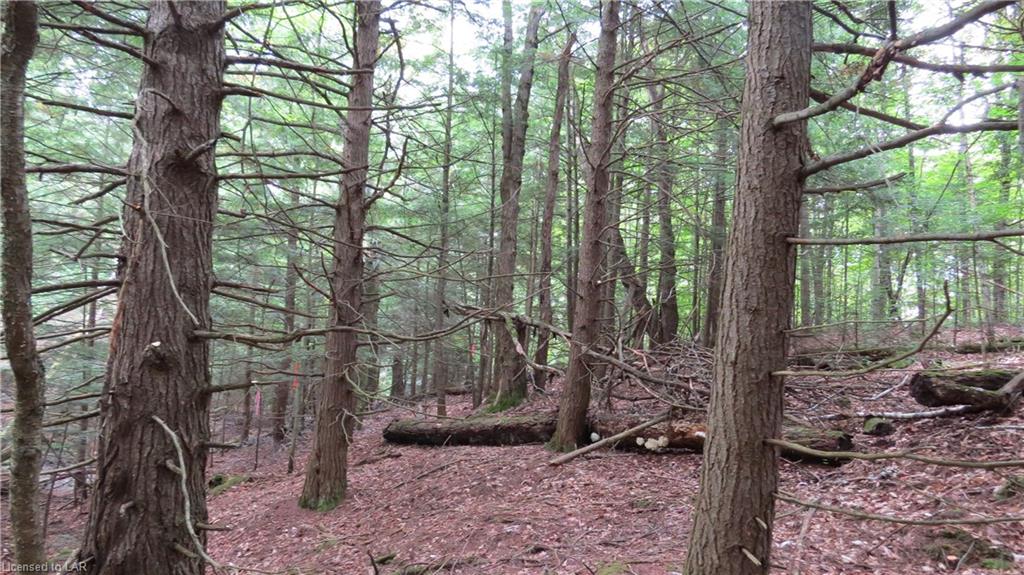1423 FLEMING Road, Minden Hills, Ontario, Canada