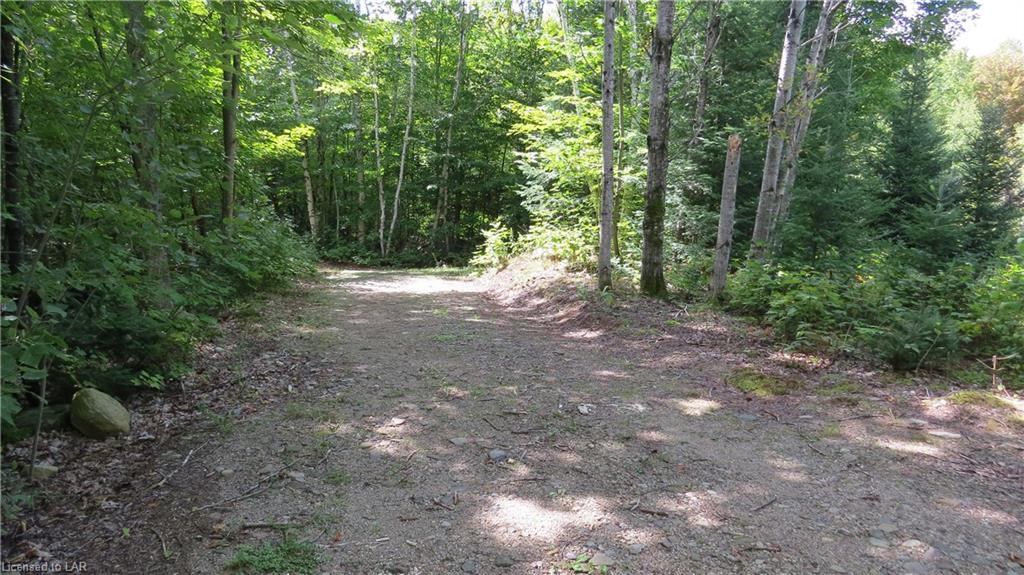 1423 FLEMING Road, Minden Hills, Ontario, Canada
