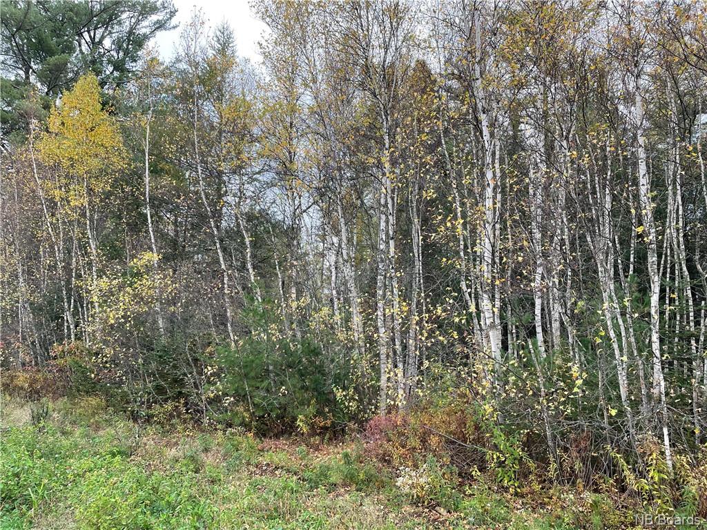 - Route 880, Berwick, New Brunswick, Canada