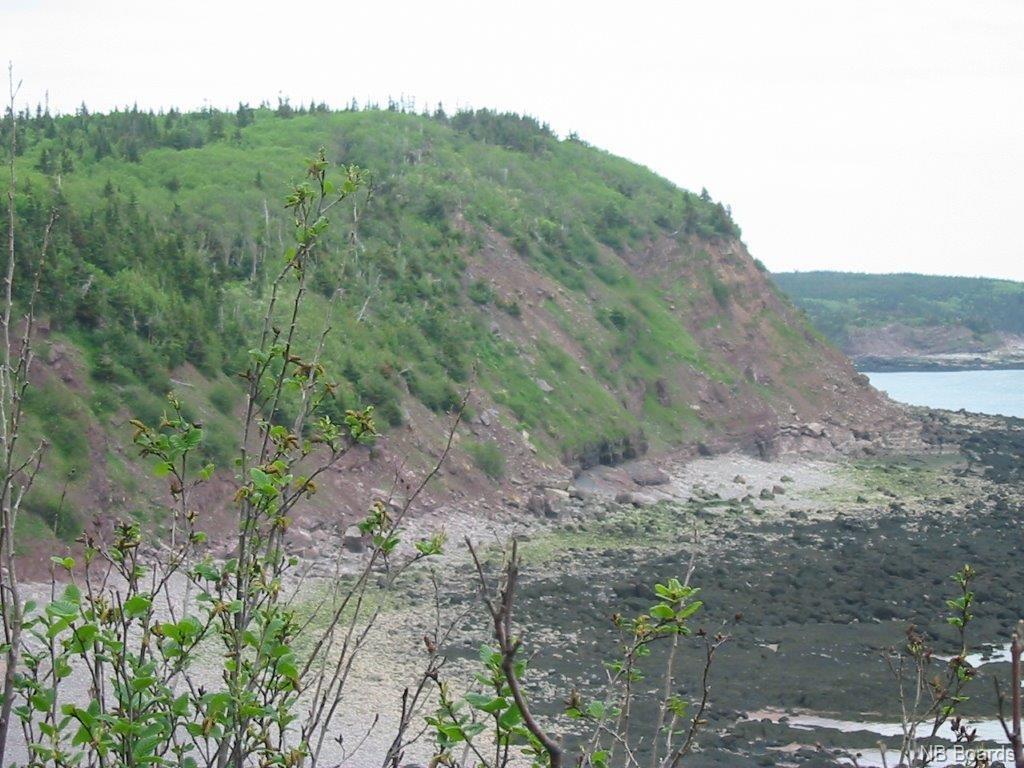 - Coleraine Road, Tynemouth Creek, New Brunswick, Canada