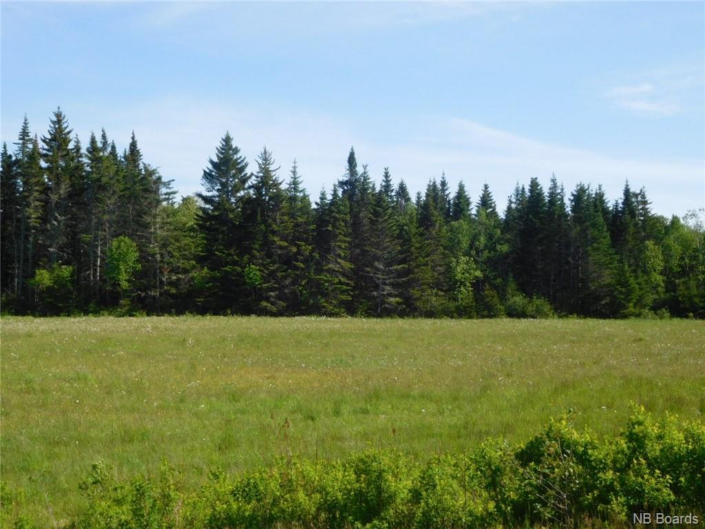 - Coleraine Road, Tynemouth Creek, New Brunswick, Canada