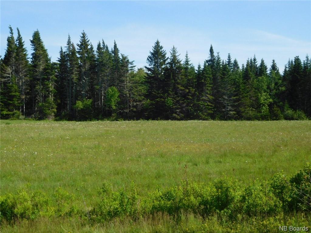 - Coleraine Road, Tynemouth Creek, New Brunswick, Canada