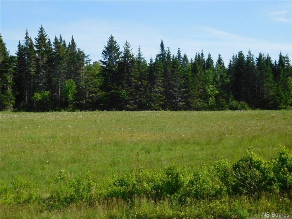 - Coleraine Road, Tynemouth Creek, New Brunswick, Canada