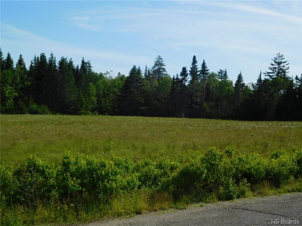 - Coleraine Road, Tynemouth Creek, New Brunswick, Canada