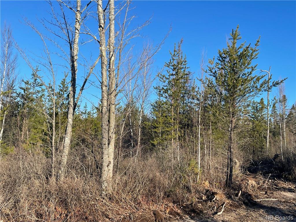 Lot 8 Route 112, Canaan Forks, New Brunswick, Canada