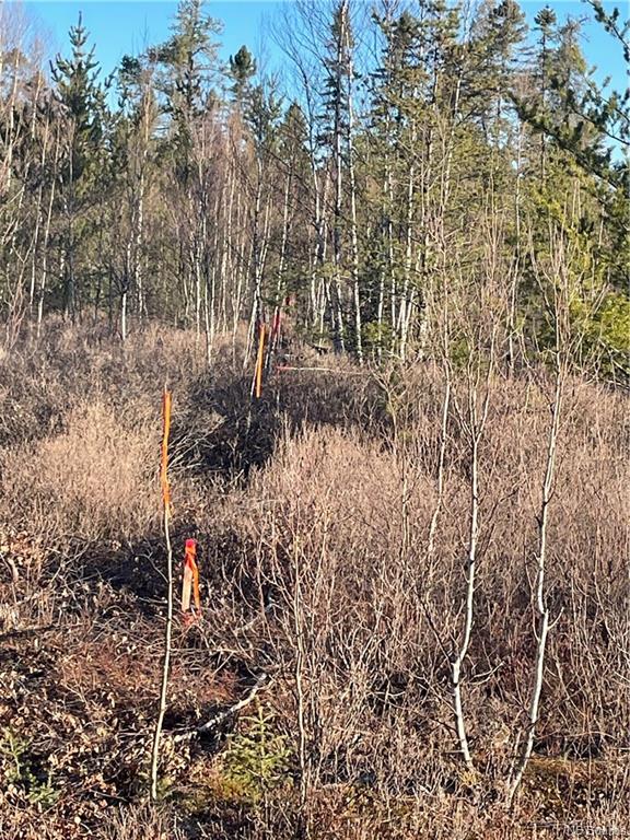 Lot 8 Route 112, Canaan Forks, New Brunswick, Canada