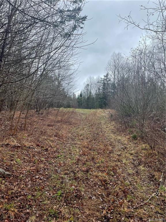 - Robertson Road, Titusville, New Brunswick, Canada
