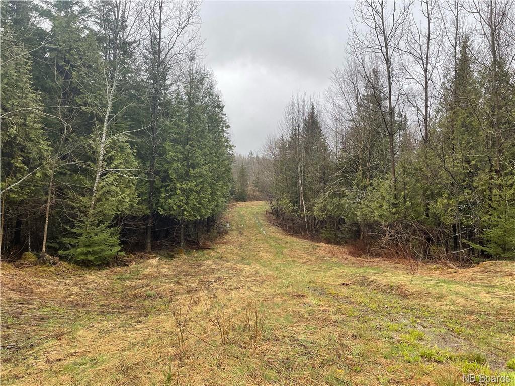 - Robertson Road, Titusville, New Brunswick, Canada