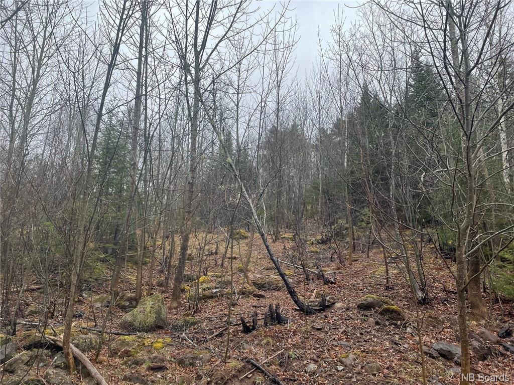 - Robertson Road, Titusville, New Brunswick, Canada