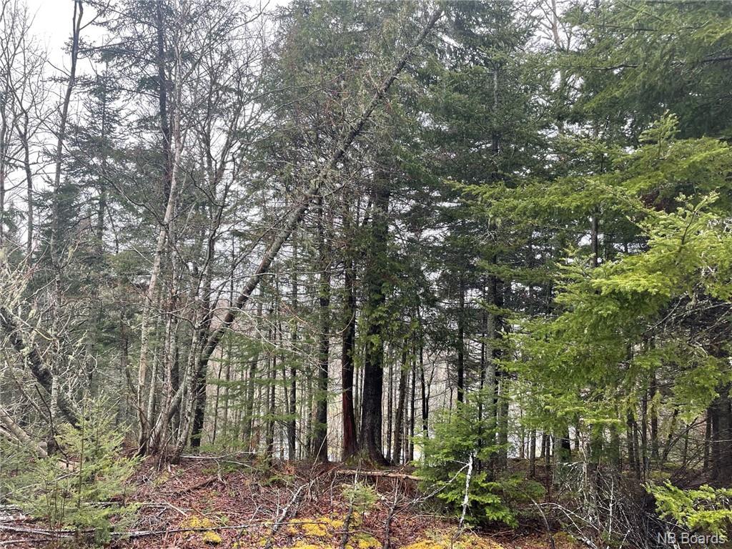 - Robertson Road, Titusville, New Brunswick, Canada