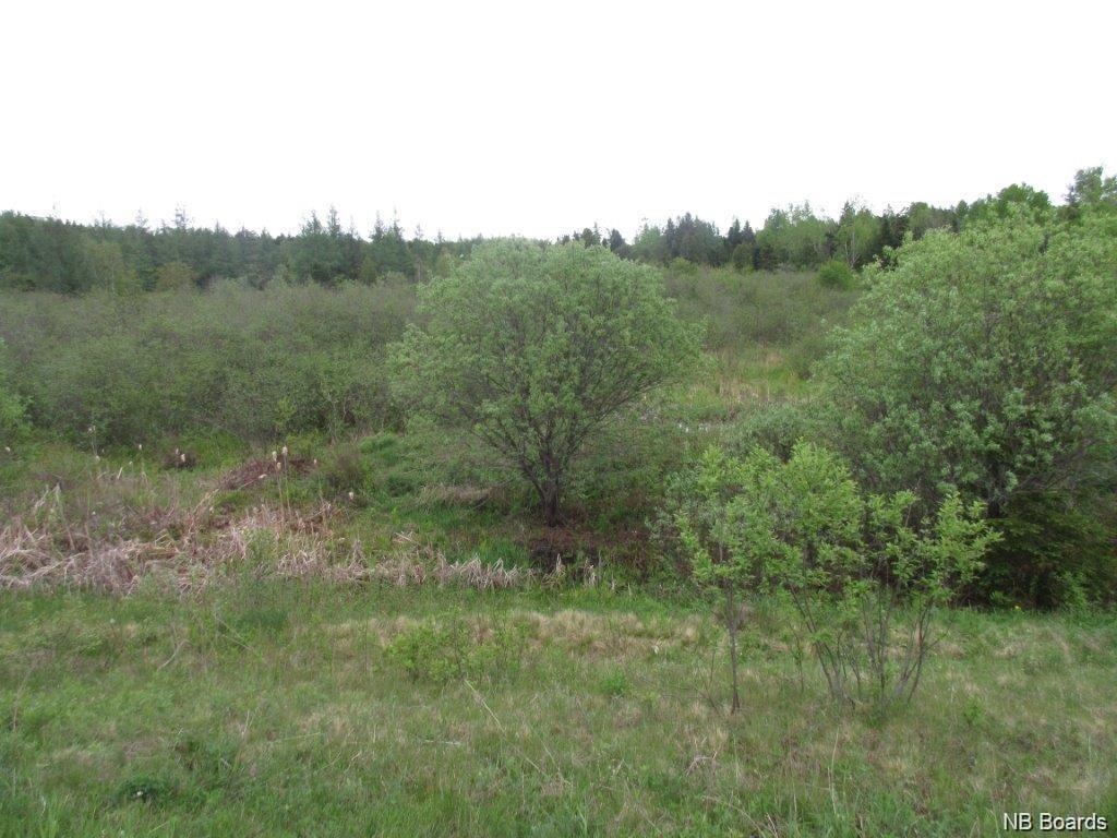 - William Bell Drive, Hampton, New Brunswick, Canada